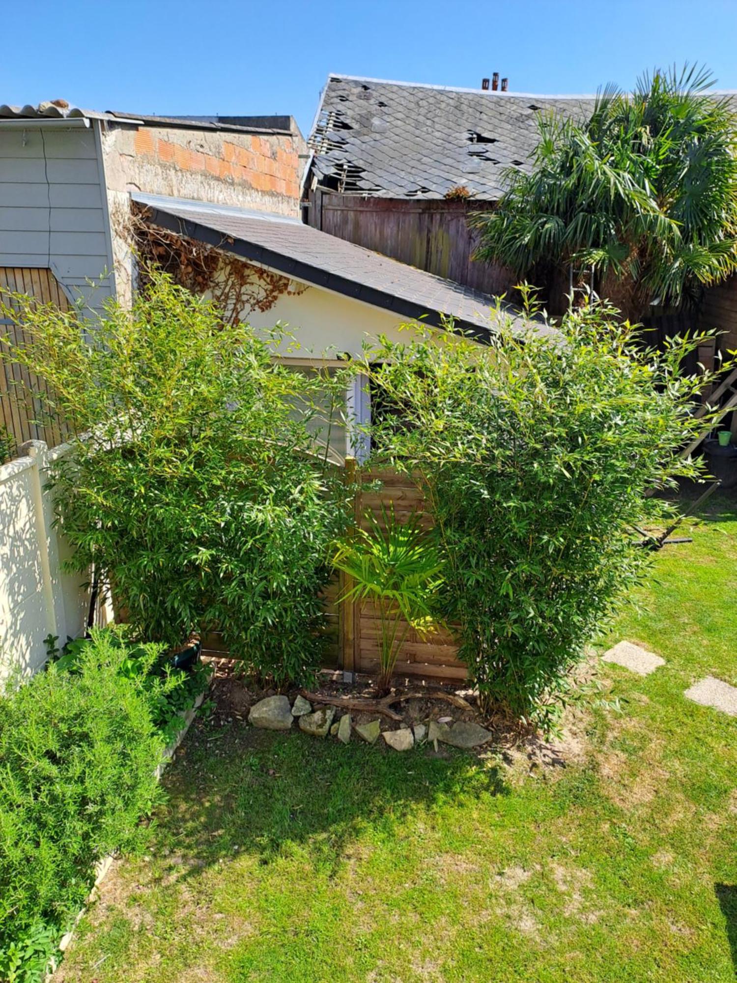 Joli studio au calme dans un jardin privatif Ouistreham Esterno foto